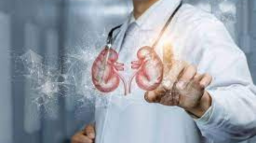best nephrologist in bangalore
