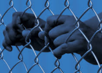 Immigration Habeas Corpus Attorney