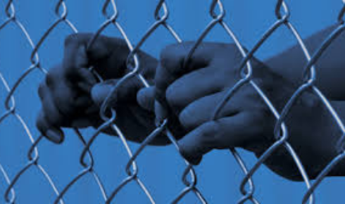 Immigration Habeas Corpus Attorney
